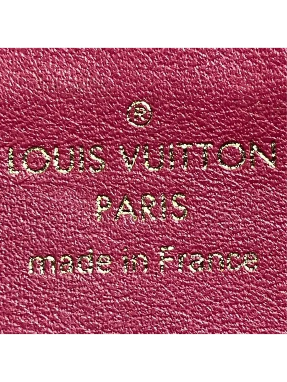 Louis Vuitton brand louis